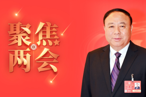 全國人大代表李寅2025年建議之四--盡快解決農(nóng)林生物質(zhì)發(fā)電可再生能源電價附加補助拖欠問題，化解行業(yè)經(jīng)營風(fēng)險的建議