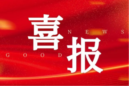喜報！智能配電網(wǎng)事業(yè)部榮獲2025年黑龍江省工人先鋒號（巾幗標兵崗）榮譽稱號